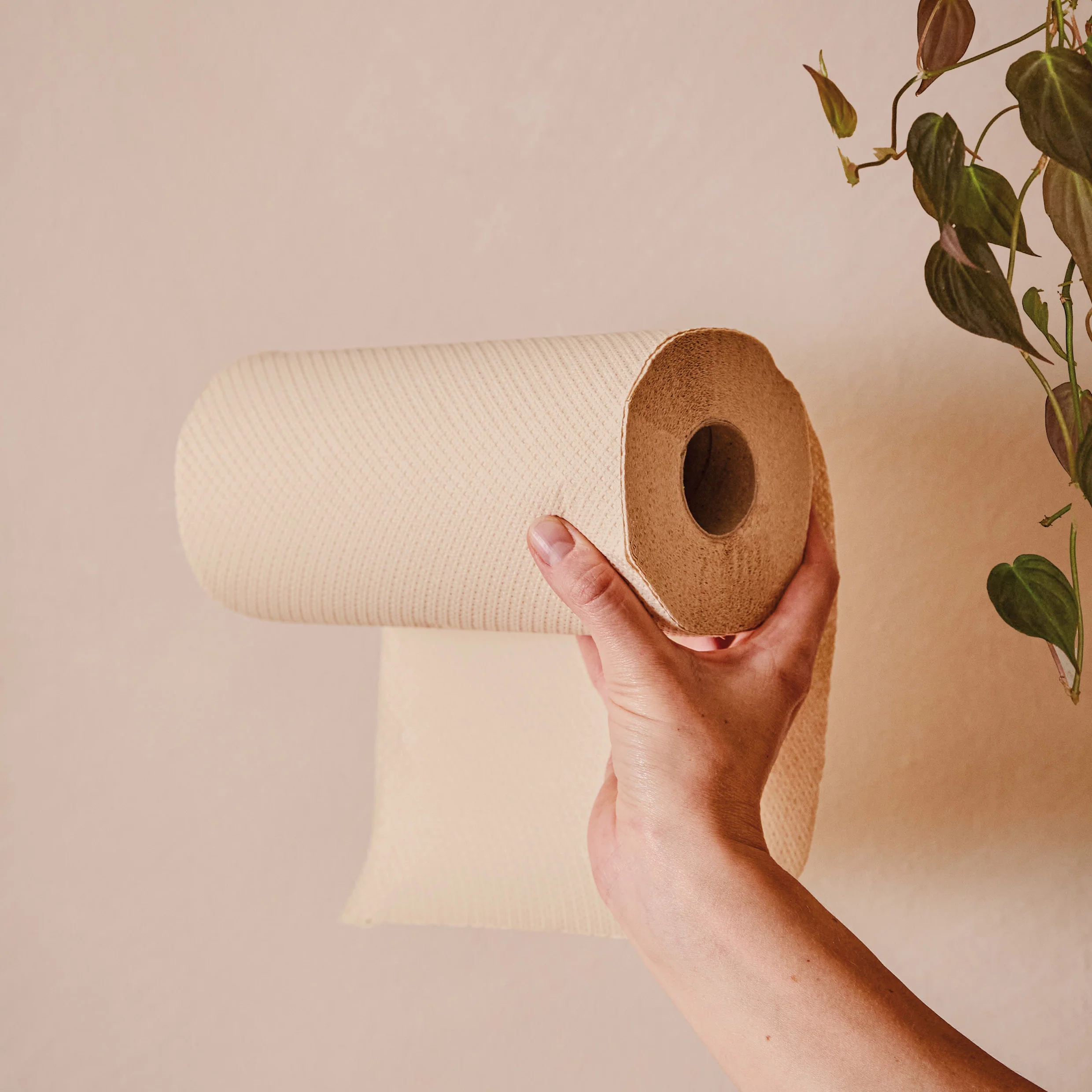 Unbleached kitchen roll